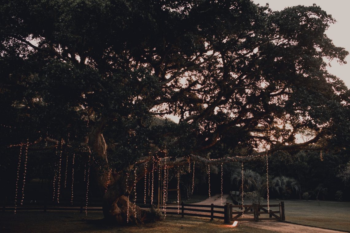 Casamento - Marilia e Gustavo